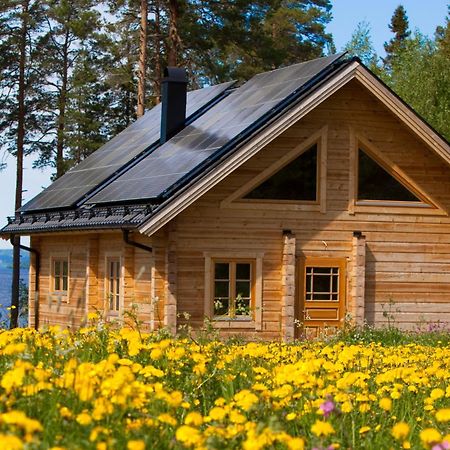 Blockhaus Am See - Komfort Umgeben Von Natur! Nalden Buitenkant foto